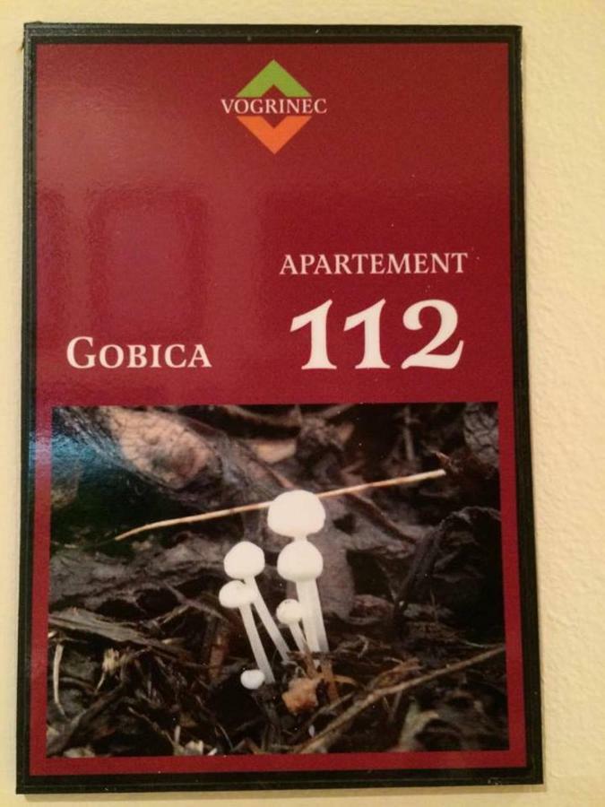 Apartments-Rooms Vogrinec Ptuj Eksteriør bilde
